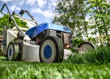 5 Tips To Start Your Own Lawn Care Business