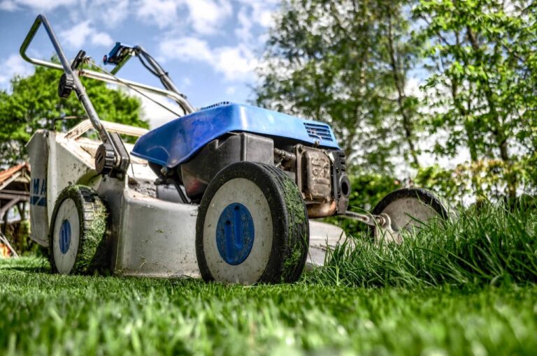 5 Tips to start your own lawn care business