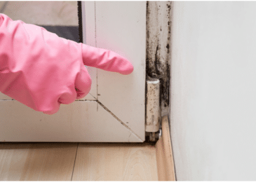 5 Common Signs of Mold in Your Household
