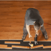 5 Reasons to Hire a Professional Flooring Installation Company
