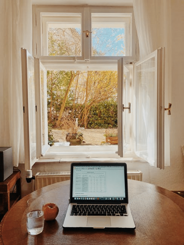 home window screens