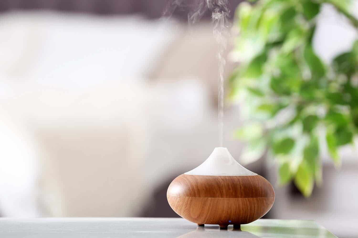 What Is a Fragrance Oil Diffuser?