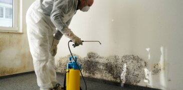 Moisture Control Tips To Get Rid Of Mold