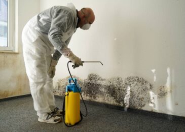 13 Moisture Control Tips To Get Rid Of Mold And Mildew At Home