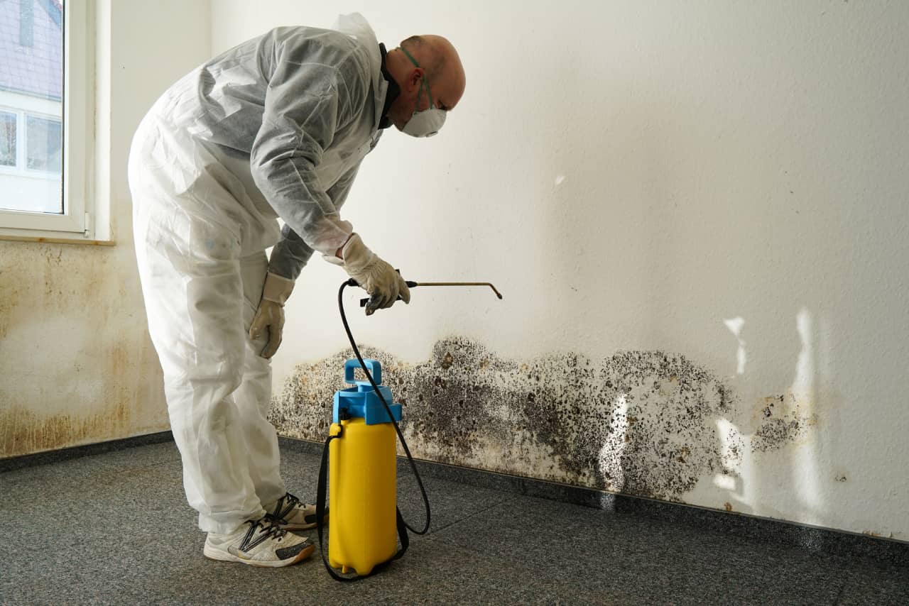 Moisture Control Tips To Get Rid Of Mold