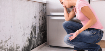 how to prevent mold after water damage