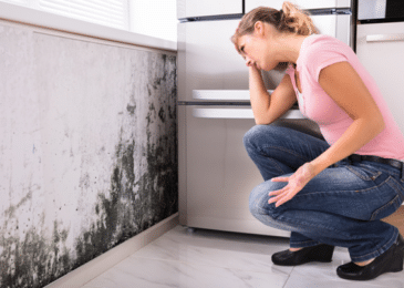 How to Prevent Mold After Water Damage