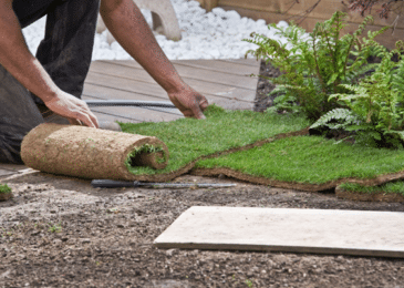 5 Key Questions to Ask the Best Landscaping Company When Hiring Them