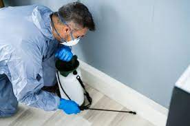 Hiring a Reputable Exterminator