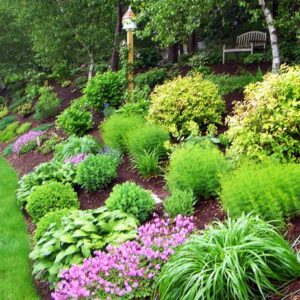 Smart Landscaping Solutions