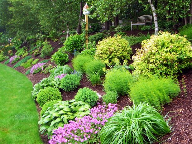 Dealing with San Diego’s Drought: Smart Landscaping Solutions